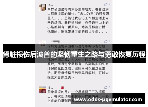 肾脏损伤后波普的坚韧重生之路与勇敢恢复历程