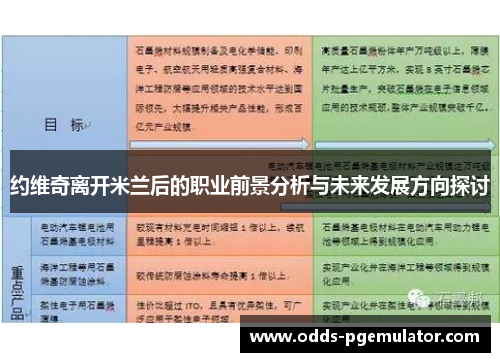 约维奇离开米兰后的职业前景分析与未来发展方向探讨