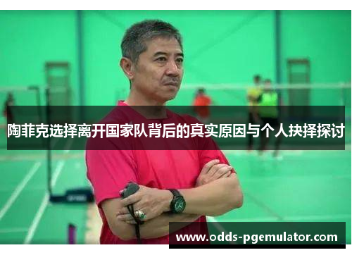 陶菲克选择离开国家队背后的真实原因与个人抉择探讨