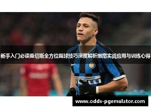 新手入门必读桑切斯全方位踢球技巧深度解析指南实战应用与训练心得